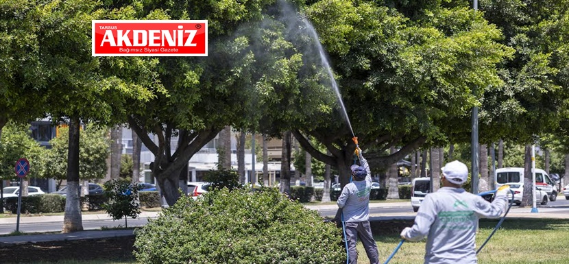 Büyükşehir’in İlaçlama Çalışmaları Gece-Gündüz Sürüyor