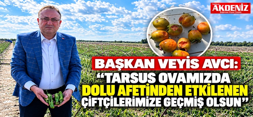 Başkan Veyis Avcı: “Tarsus Ovamızda Dolu Afetinden Etkilenen Çiftçilerimize Geçmiş Olsun