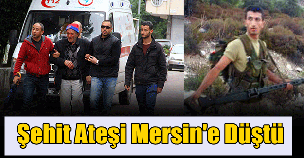 Mersin’deki Aydemir ailesine şehit acısı