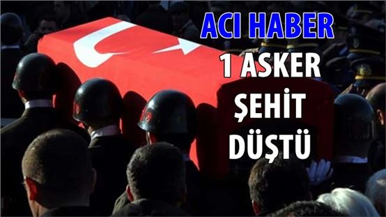 Zeytin Dalı Harekatı'nda 1 asker şehit oldu