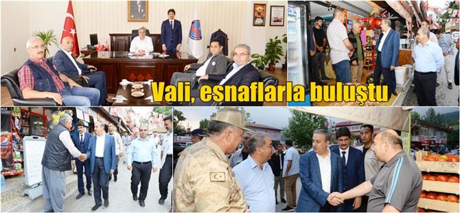 Vali Ali İhsan Su, Çamlıyayla’da incelemelerde bulundu