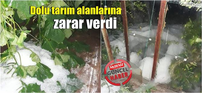 Mersin’de dolu yağışı seralara büyük zarar verdi
