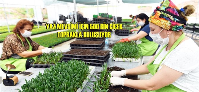 Mersin’de kadın, emek, kooperatifçilik ve kent estetiği var!