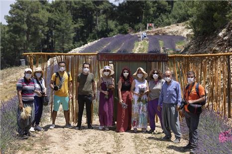 Kadınlar Mor Lavanta Tarlalarını Adımladı