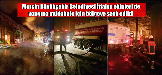 Adana’da nişasta fabrikasında büyük yangın