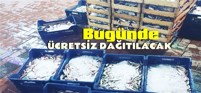 Tarsus’ta hayırsever balıkçı bugünde ücretsiz balık dağıtacak