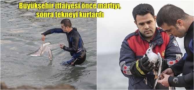 Büyükşehir itfaiyesi önce martıyı, sonra tekneyi kurtardı