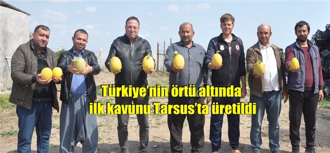 Türkiye’nin örtü altında ilk kavunu Tarsus’ta üretildi