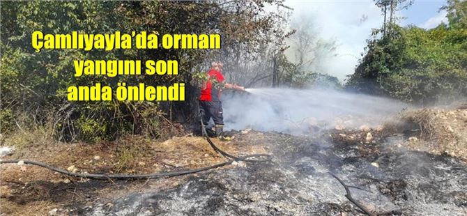 Çamlıyayla’da orman yangını son anda önlendi