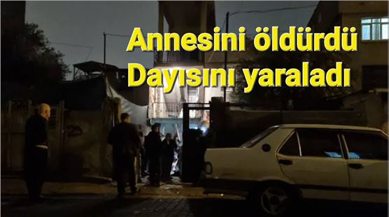 17 yaşındaki genç, annesini öldürdü; dayısını yaraladı 