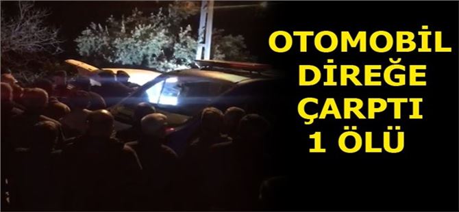 Mersin'de Otomobil Yol Kenarındaki Direğe Çarptı, 1 Ölü