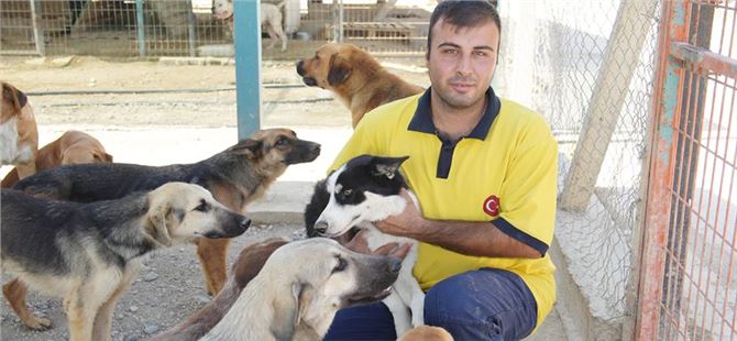 Tarsus Belediyesi Ekipleri 5 Yavru Köpek Ve Anneyi Kurtardı