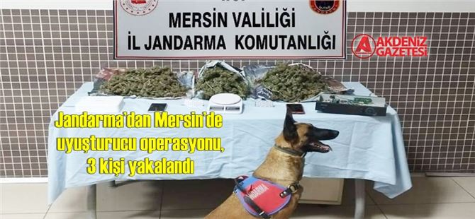 Jandarma’dan Mersin’de uyuşturucu operasyonu, 3 kişi yakalandı
