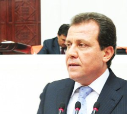 Seçerden, Evrensel Bildirge Açıklaması