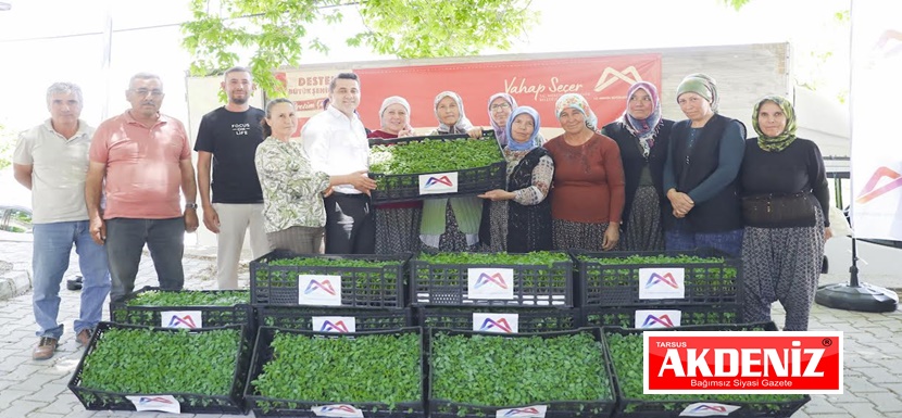 Büyükşehir Gülnar’da 105 Bin Domates Fidesi Dağıttı